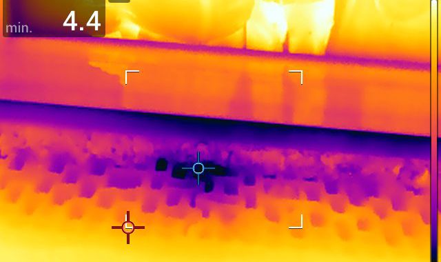 FLIR1394.jpg